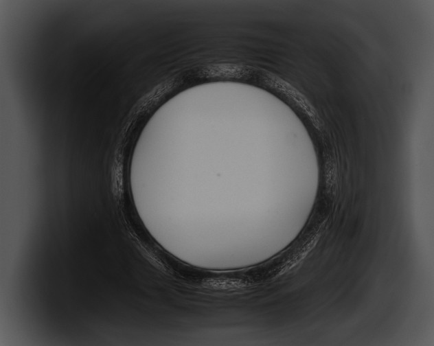 X0000100190633200806201255