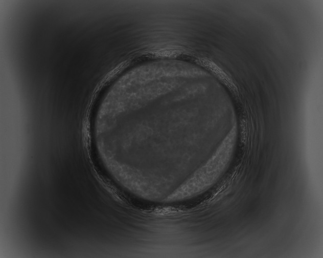 X0000100190634200806201255