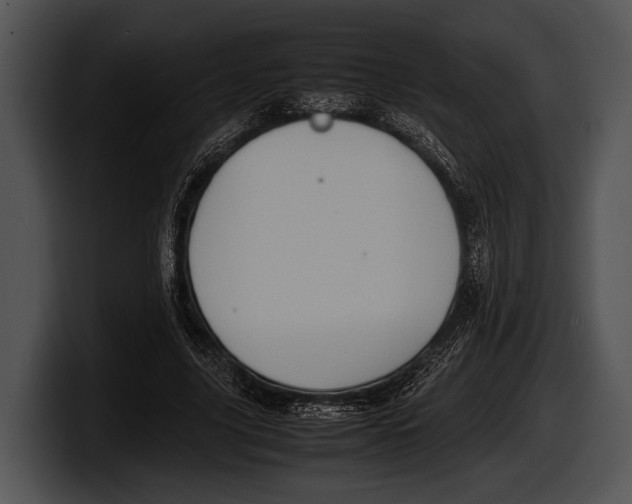 X0000100190635200806201255