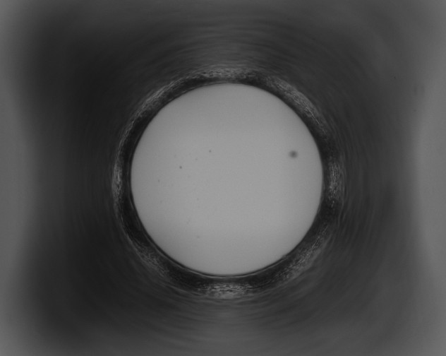 X0000100190636200806201255