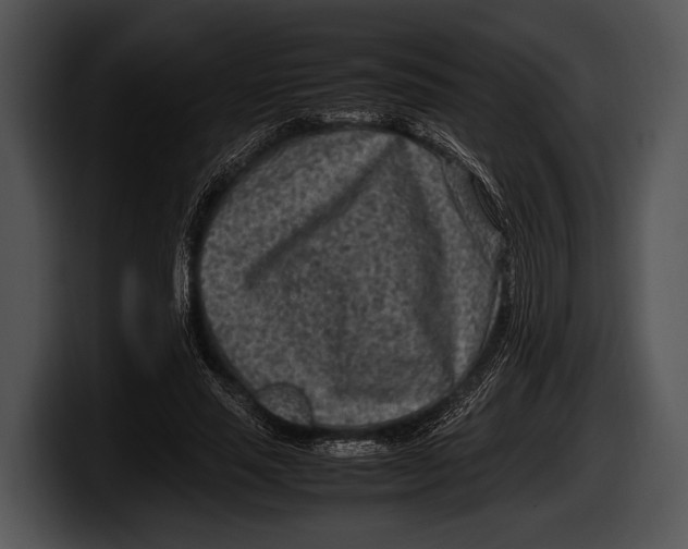 X0000100190637200806201255