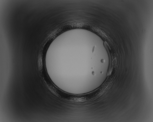 X0000100190638200806201255