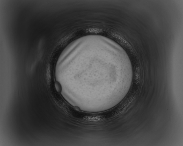 X0000100190639200806201255