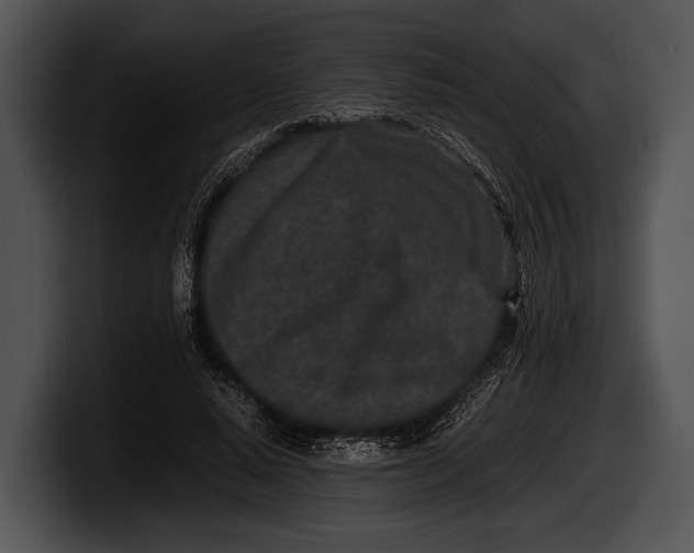 X0000100190640200806201255