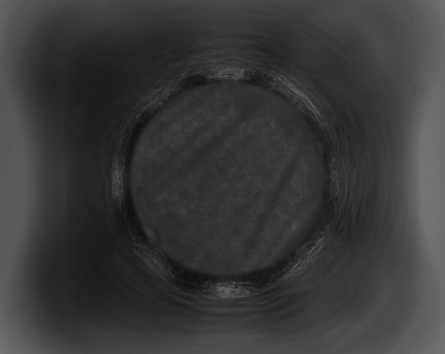 X0000100190641200806201255