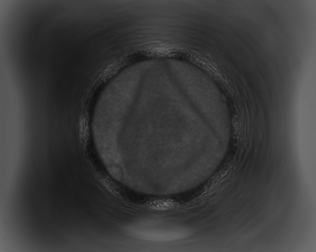 X0000100190642200806201255