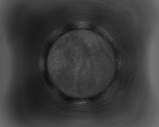 X0000100190643200806201255