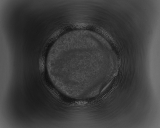 X0000100190644200806201255