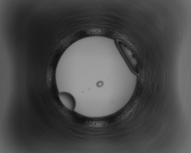 X0000100190645200806201255