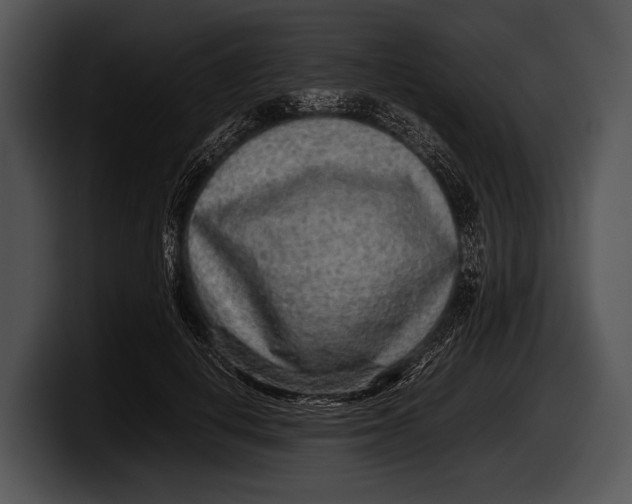 X0000100190648200806201255