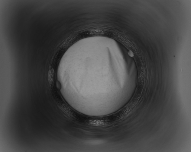 X0000100190649200806201255