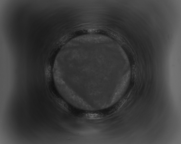 X0000100190650200806201255