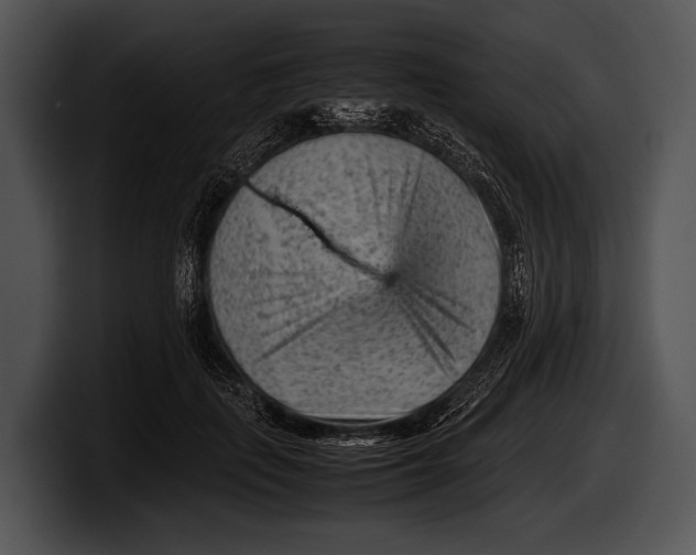 X0000100190651200806201255