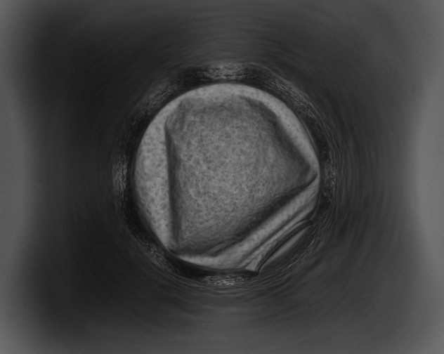 X0000100190652200806201255