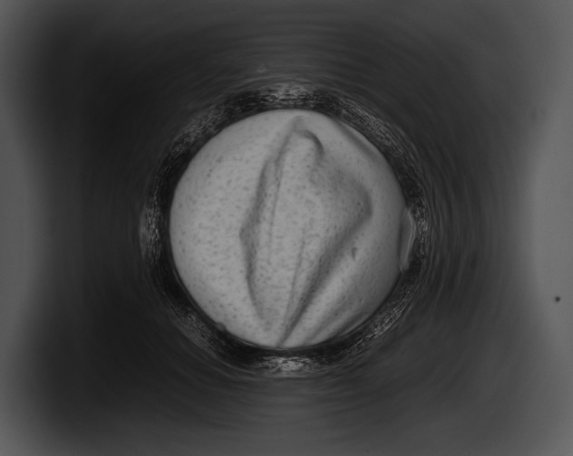 X0000100190654200806201255