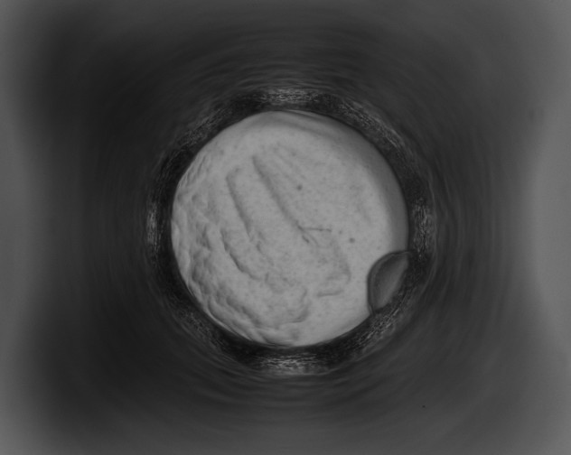 X0000100190655200806201255