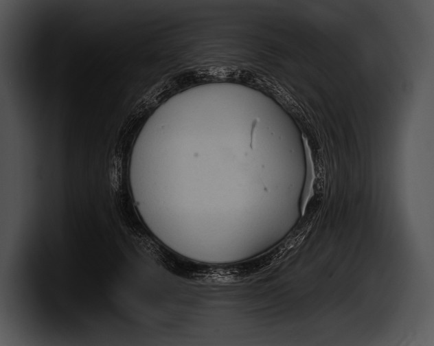 X0000100190656200806201255