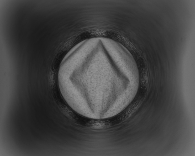 X0000100190658200806201255