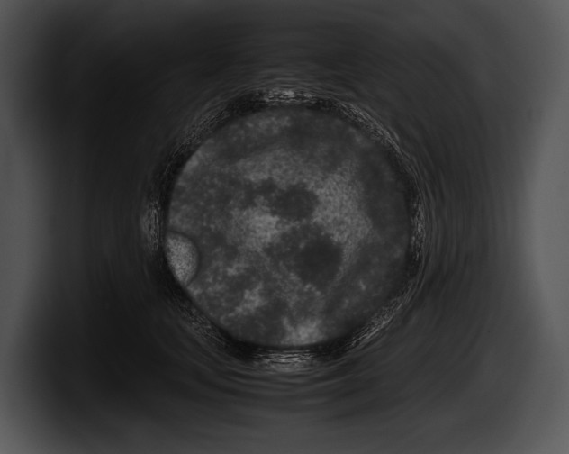 X0000100190659200806201255