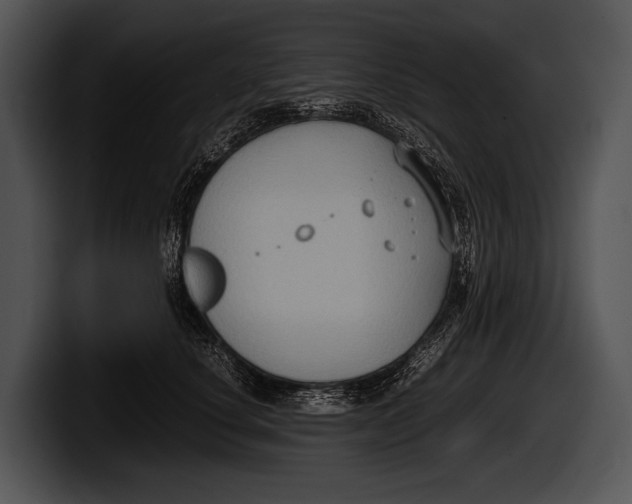 X0000100190660200806201255