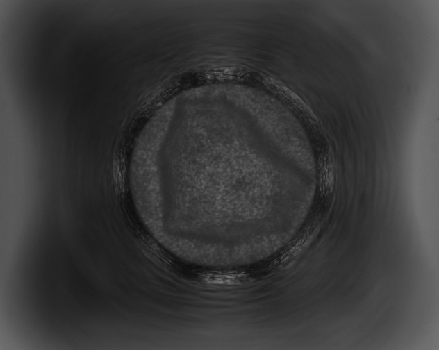 X0000100190661200806201255