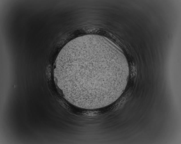 X0000100190664200806201255