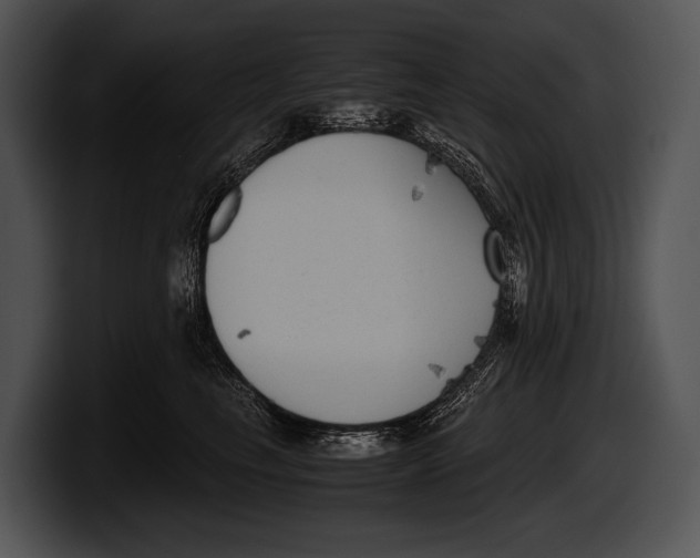 X0000100190665200806201256