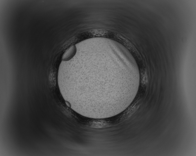 X0000100190666200806201256