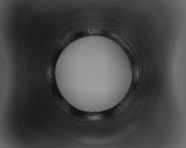 X0000100190667200806201256