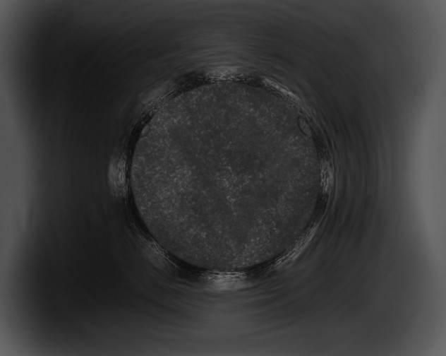 X0000100190670200806201256