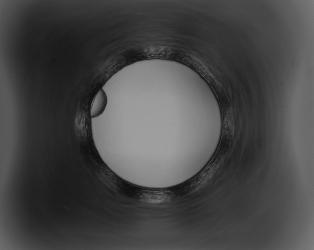 X0000100190671200806201256