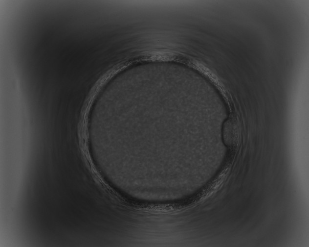 X0000100190673200806201255