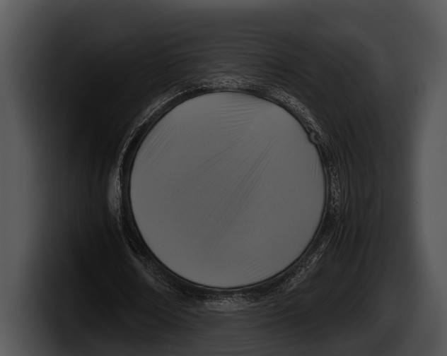 X0000100190674200806201255