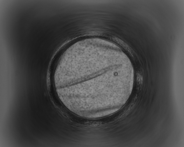 X0000100190676200806201255