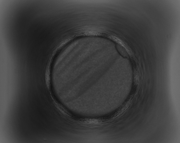 X0000100190677200806201255