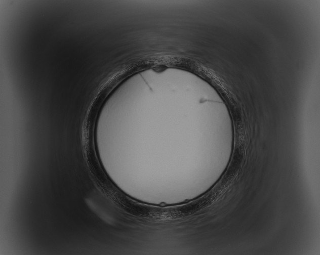 X0000100190679200806201255