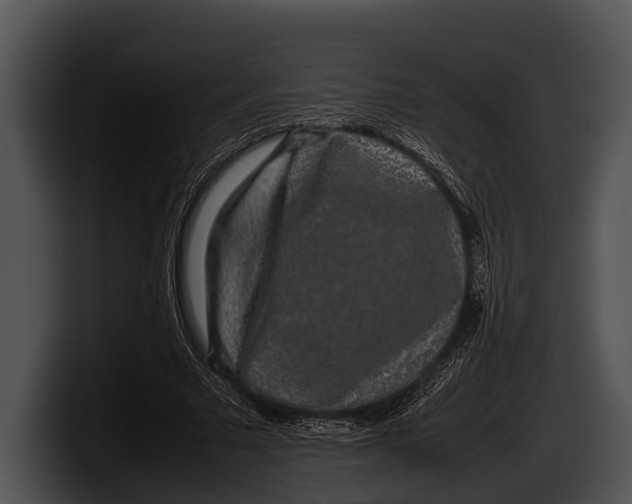 X0000100190681200806201255