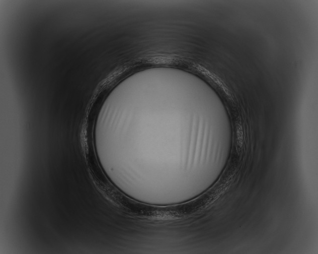 X0000100190682200806201255