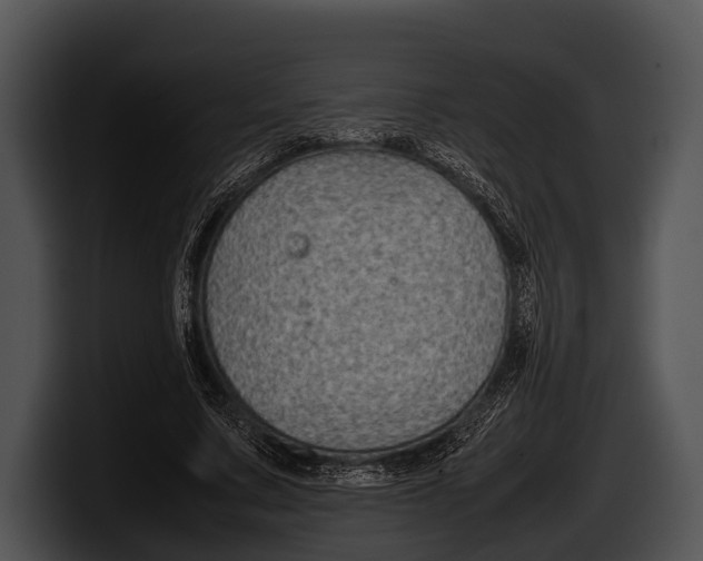 X0000100190683200806201255