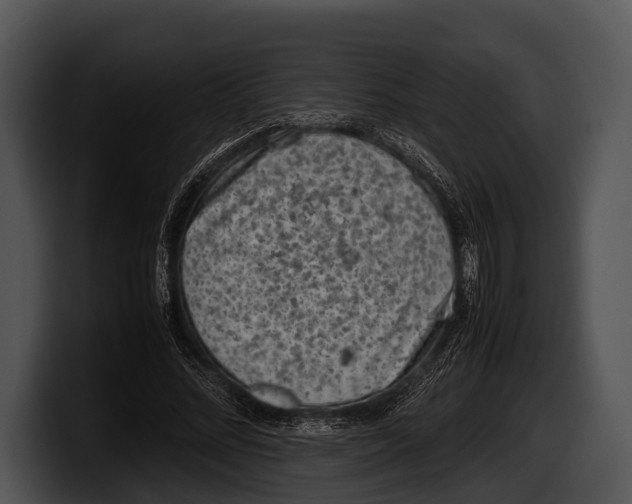 X0000100190684200806201255