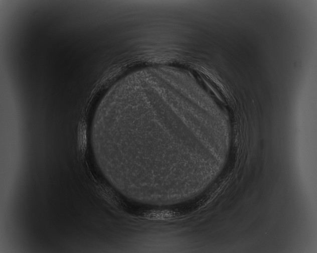 X0000100190685200806201255