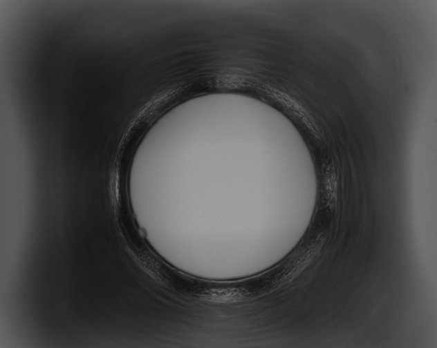 X0000100190686200806201255