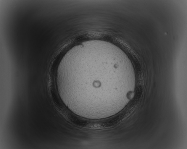 X0000100190687200806201255