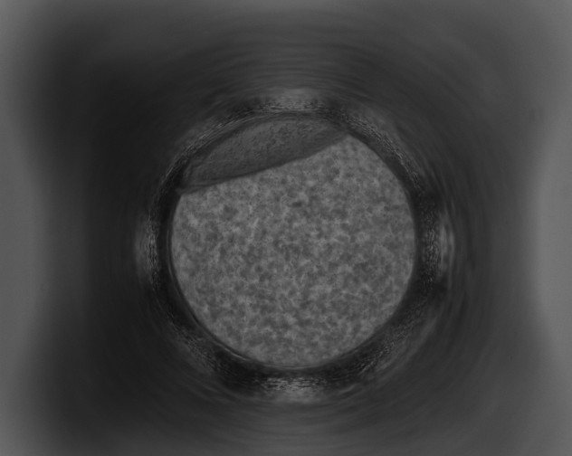 X0000100190688200806201255