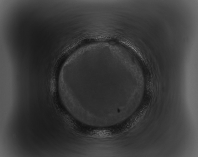 X0000100190689200806201255