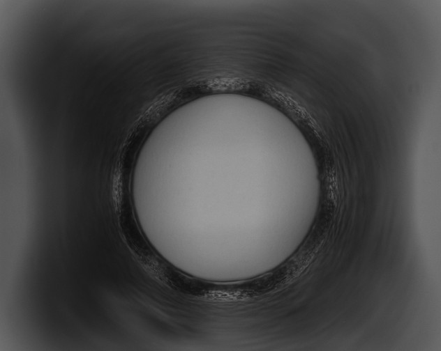 X0000100190690200806201255