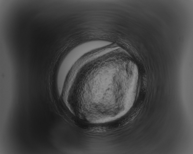 X0000100190691200806201255