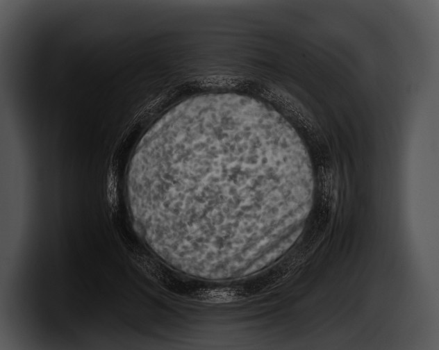 X0000100190692200806201255