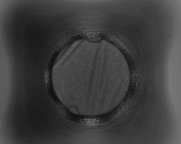 X0000100190693200806201255