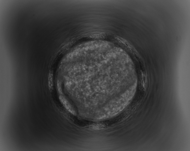 X0000100190696200806201255